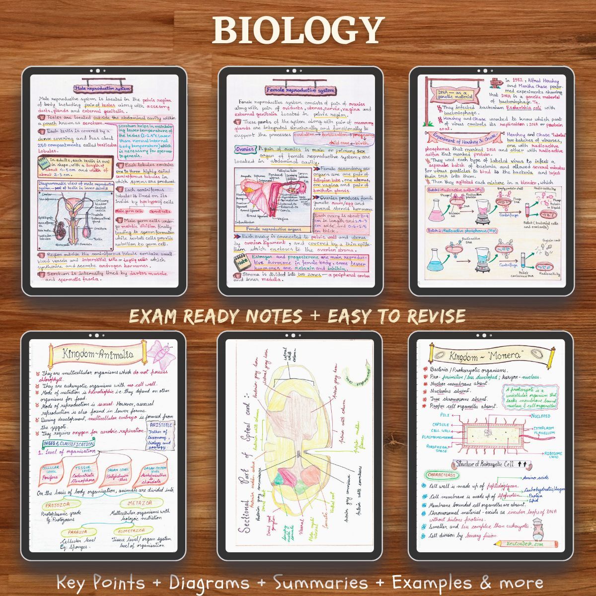 sample images of Biology colored handwritten notes specially for NEET exam, visible on ipad