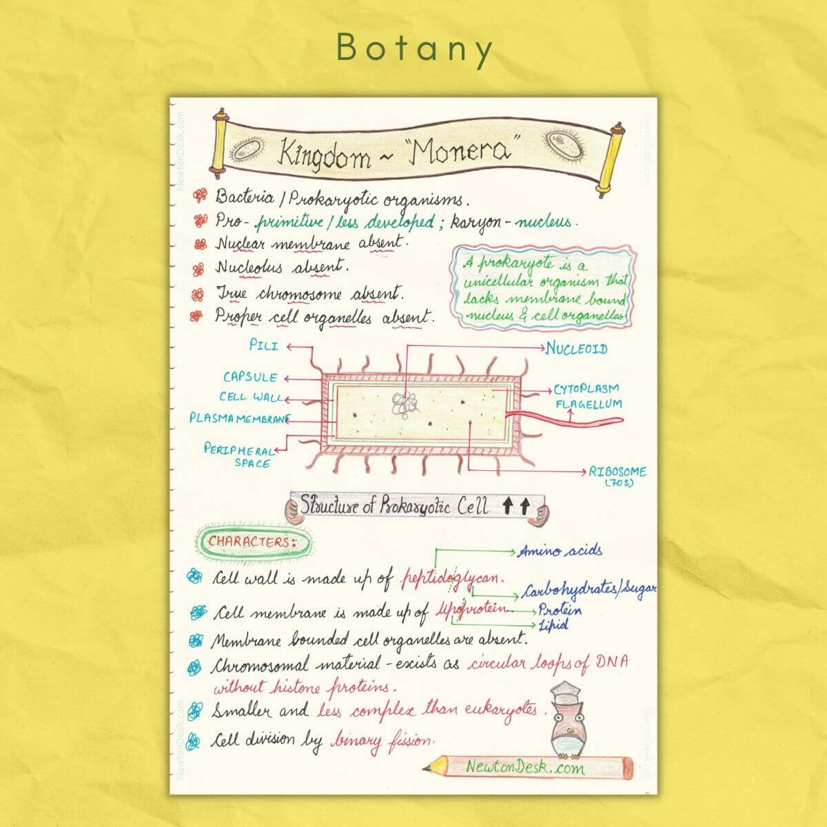 kingdom monera in botany biology 11