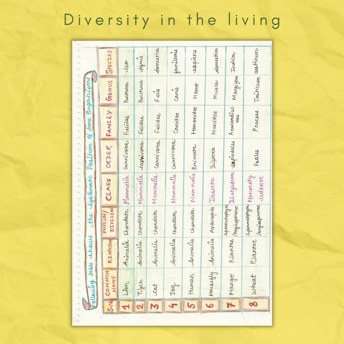 systematic position of some organisms