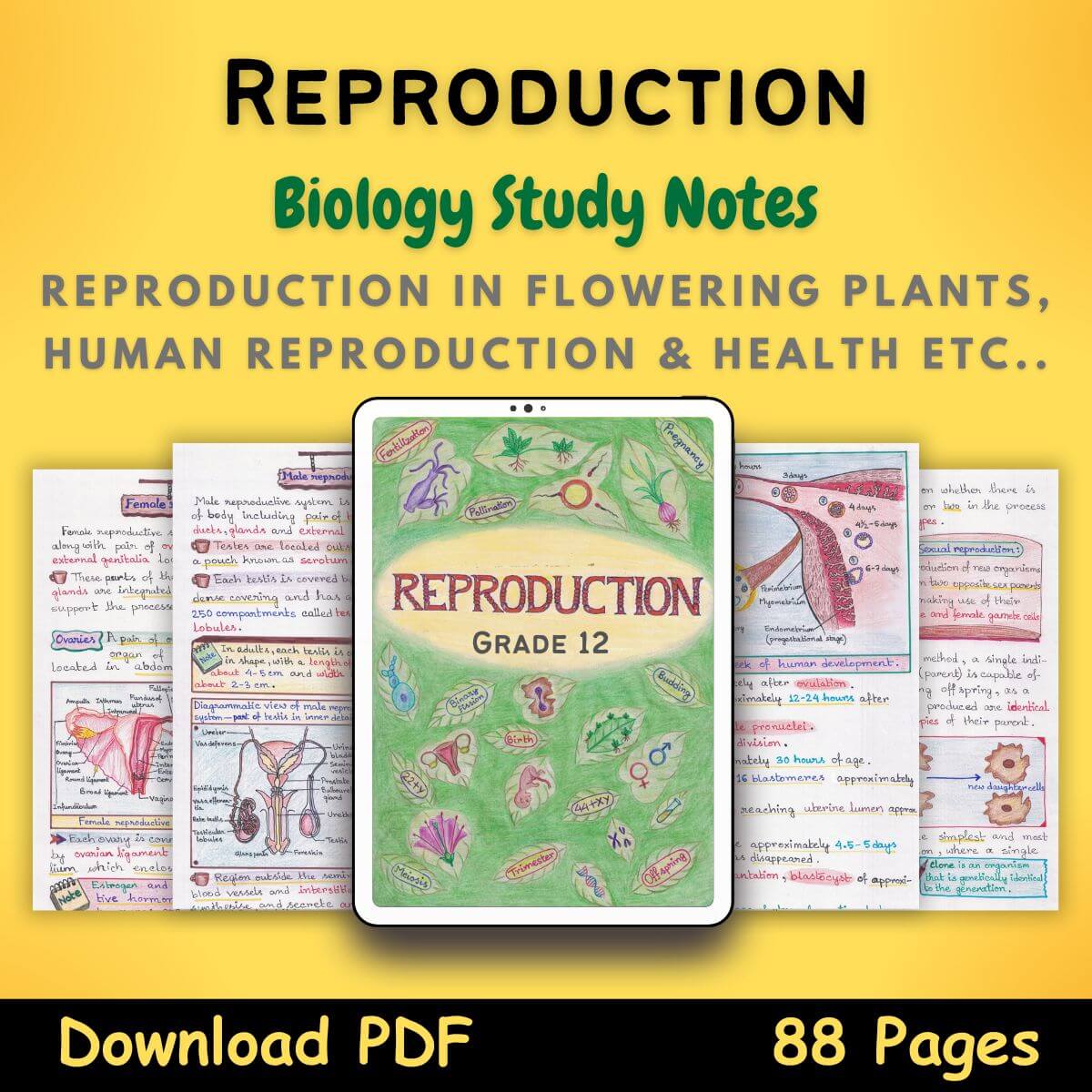 reproduction biology 12 handwritten study notes