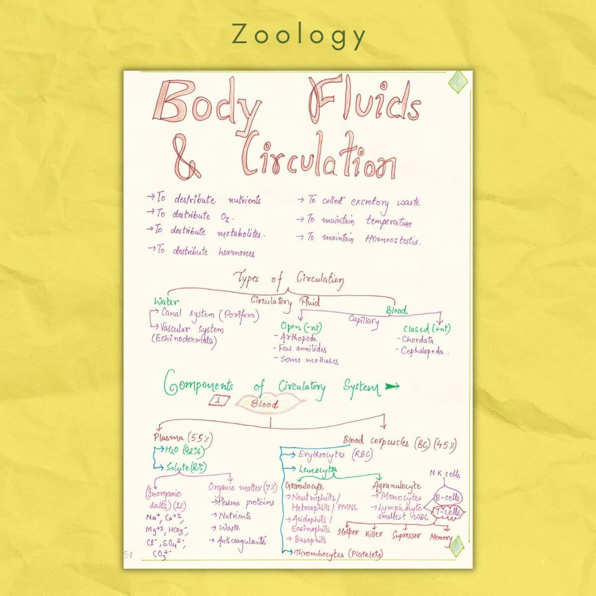 zoology class 11 body fluids and circulation