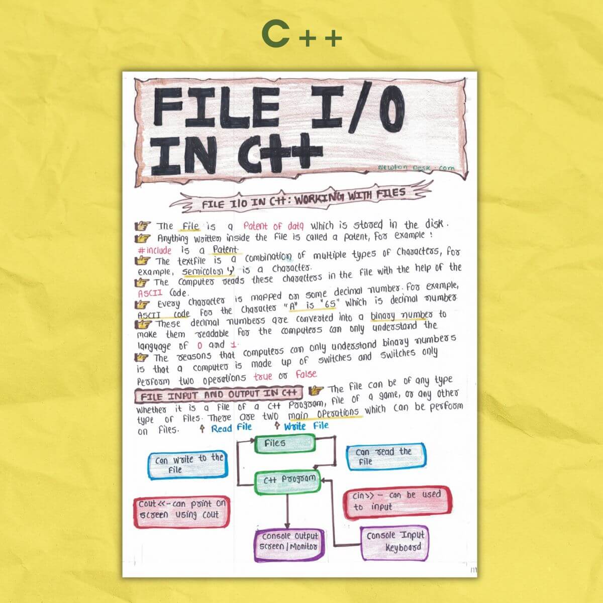 c++ cpp oops notes sample file input output