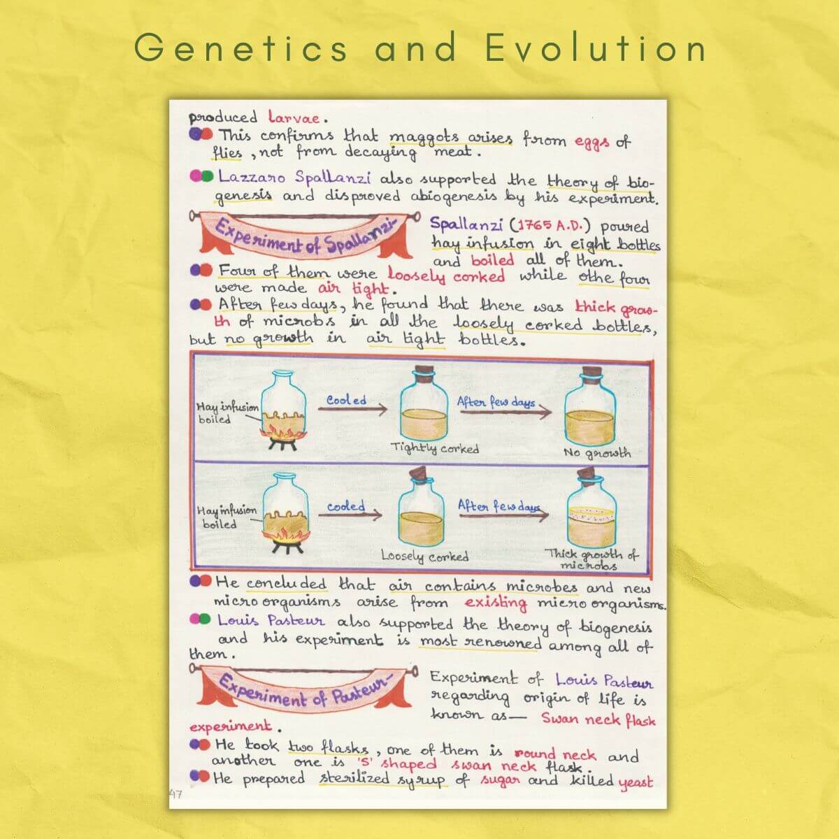 Spallanzani experiment in genetics and evolution biology grade class 12 sample