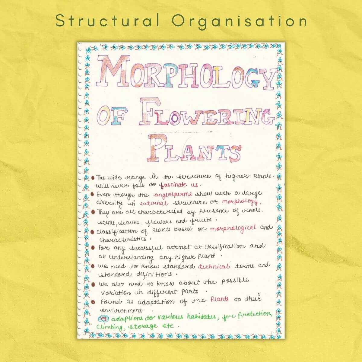 morphology of flowering plants
