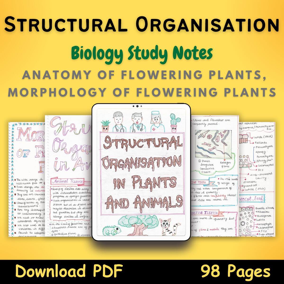 structural organisation in animals biology 11 Study Notes